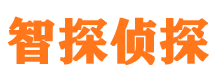 勉县外遇出轨调查取证